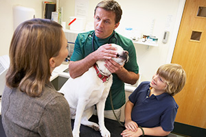 veterinary talking to client